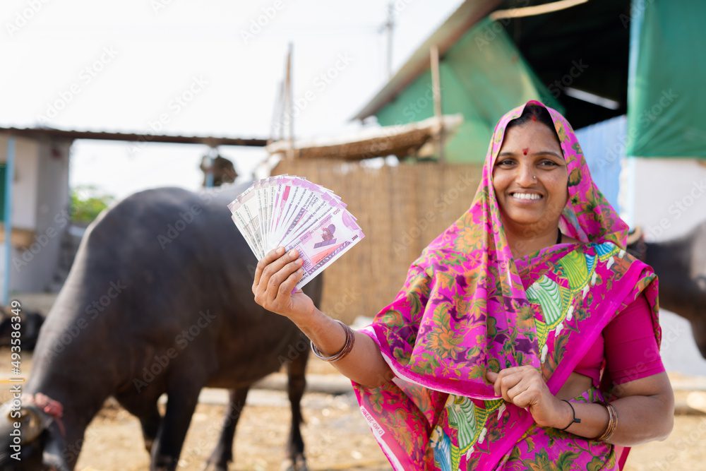 focus on currency notes, Smiling milk dairy village women showing indian money by looking at camera - concept of business profit, banking and agricultural.